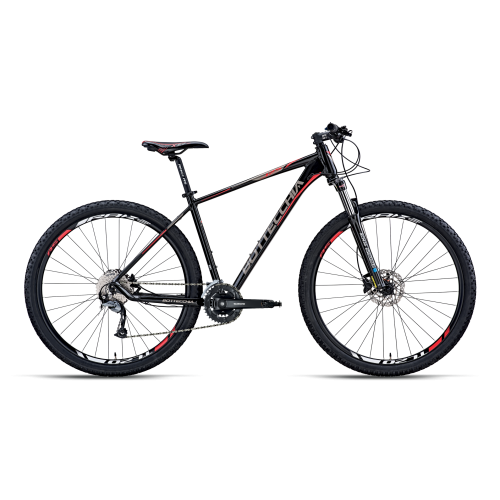 BOTTECCHIA 125